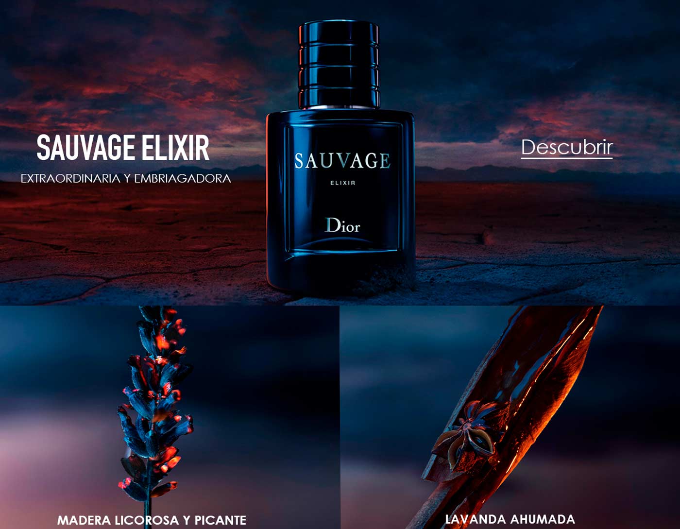 Descubre Dior Sauvage