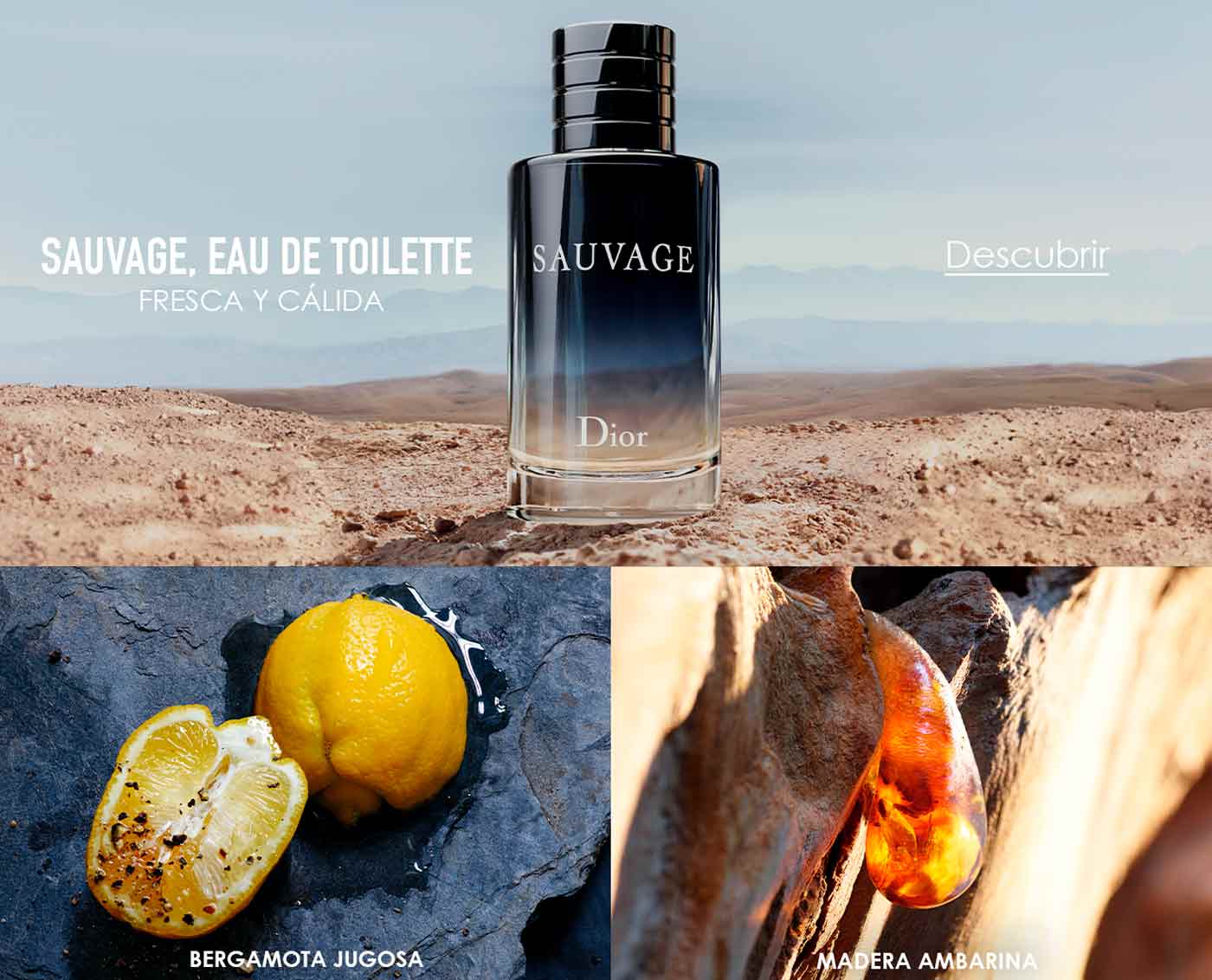 Descubre Dior Sauvage