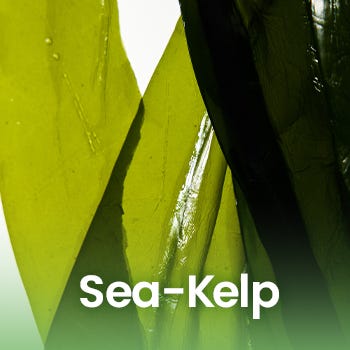 Biodance Sea Kelp, cuidado facial con algas