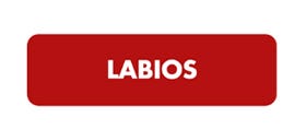 Deborah Milano Labios